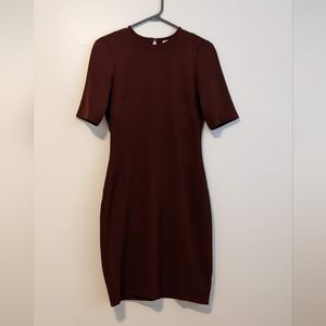 H&M Burgundy Fitted Dress